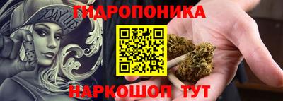 стафф Будённовск
