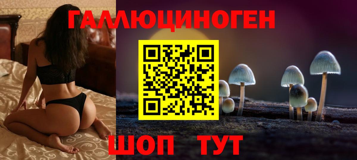 Псилоцибиновые грибы Psilocybine cubensis  Галлюциногенные грибы прущие грибы  Вход с VPN  Сальск 